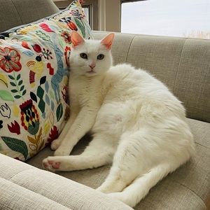 Meet your Posher, Nancy